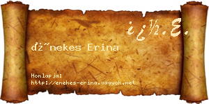 Énekes Erina névjegykártya